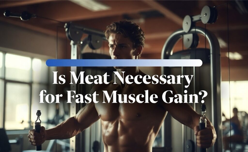 Is Meat Necessary for Fast Muscle Gain? Real Truth Behind Protein and Growth